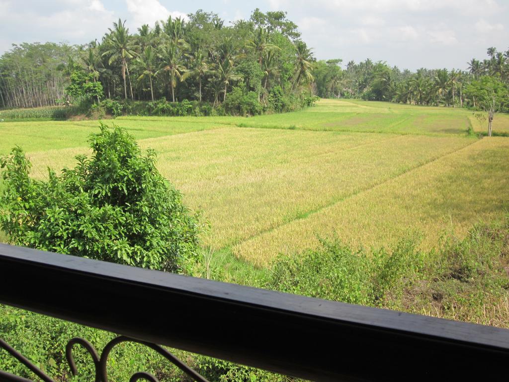 Frangipani Villas Ubud Extérieur photo