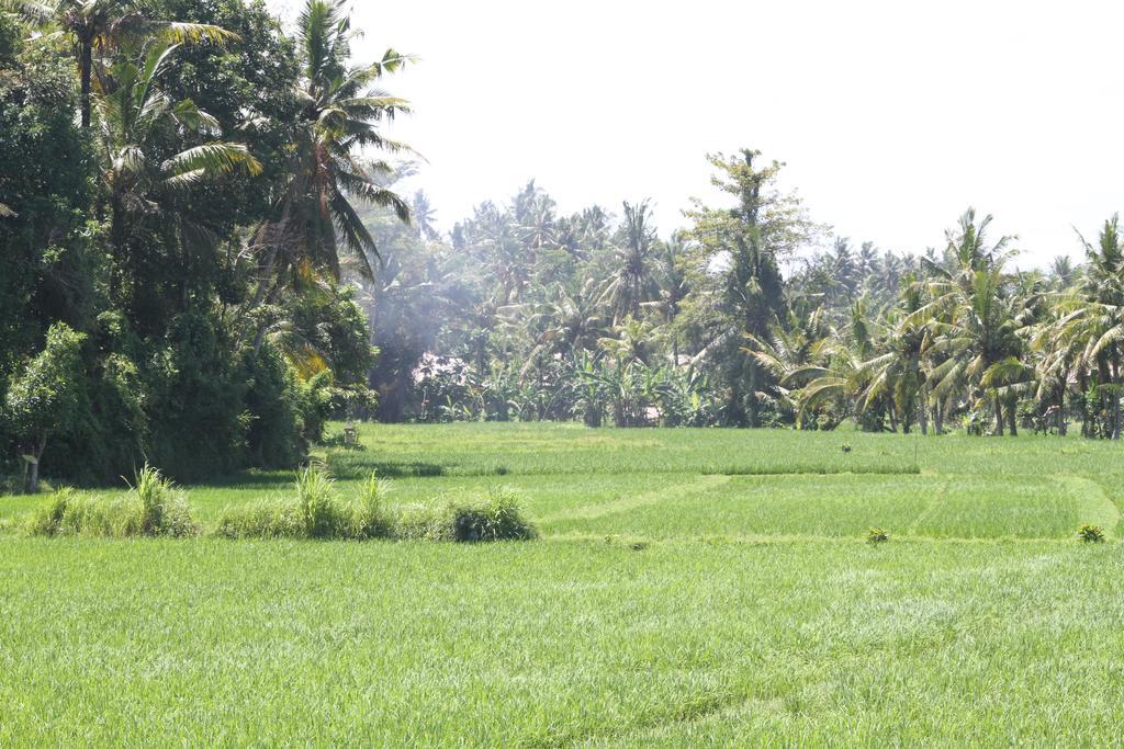 Frangipani Villas Ubud Extérieur photo